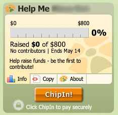 cam-girl-donation-widget